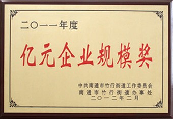 Million yuan enterprise scale award